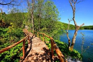 Visite des lacs de Plitvice- Parc National classé Unesco