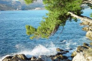 Cavtat-pin