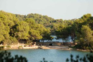 Mljet_baignade_01