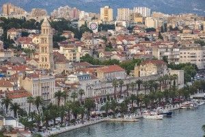 split-ivo-biocina