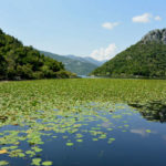 Lac de Skadar Montenegro