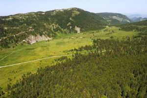 Région Mokra Gora en Serbie