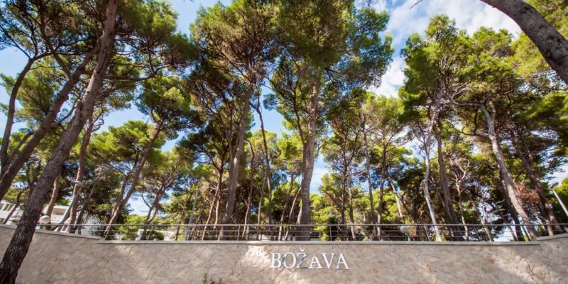 Hotel agava8
